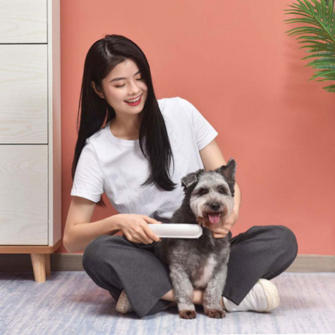 Xiaomi CARNO RJ821 Pet Sterilization Care Comb